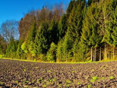 ΒΕΛΤΙΩΣΗ ΒΙΟΤΟΠΩΝ